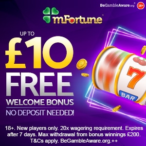 mfortune bingo site