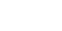 pocket win bingo