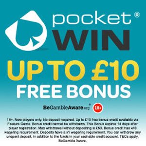pocketwin bingo site